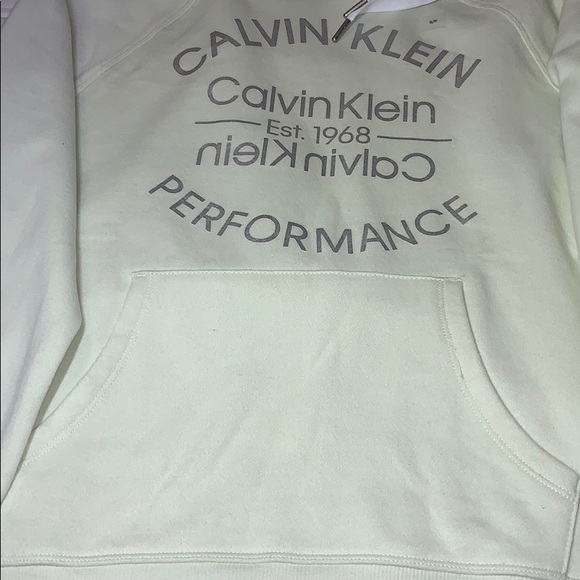 Performance Metallic Logo Drawstring Raglan Hoodie - Picture 6 of 9